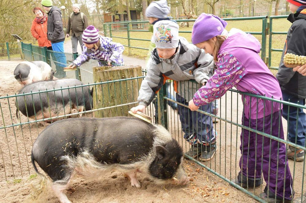 Tierpark Eilenburg e. V.