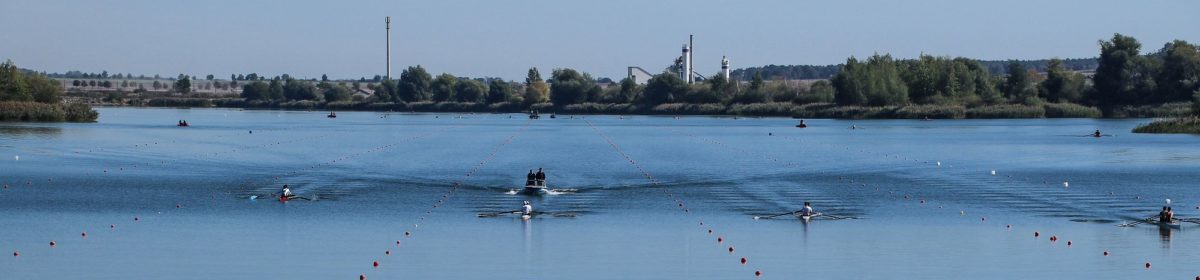 Wirtschaft fördern + Menschen vernetzen