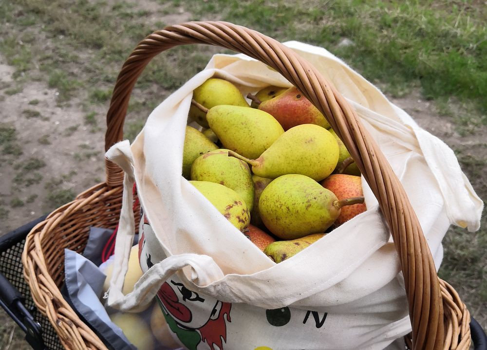 Streuobstwiesen und längste Kaffeetafel