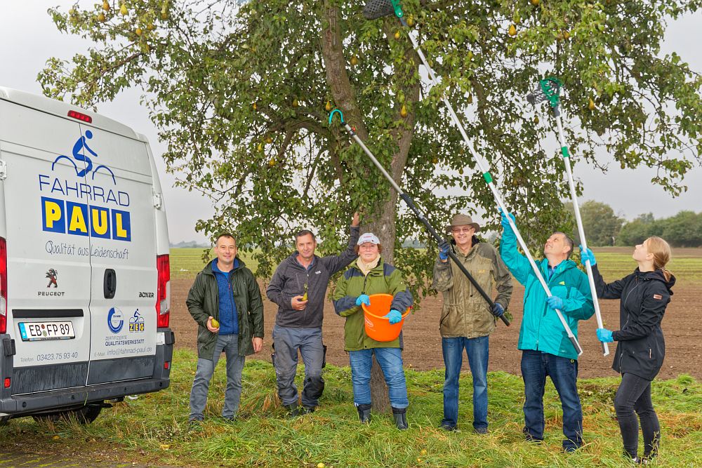 Landschaftspflege wieder ganz praktisch – Tourismus- und Gewerbeverein Eilenburg e. V. erntet gemeinsam mit dem Landschaftspflegeverband Nordwestsachsen e. V. die noch zu brennende „Köstliche Konferenz“ in der Nähe von Pressen